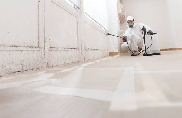 24/7 Emergency Attic Mold Removal experts in Marshall, IL